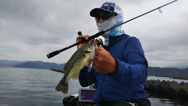 IMG_20191104_201258.jpg