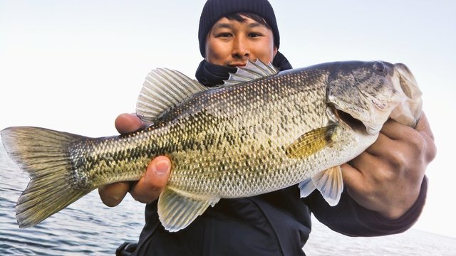 IMG_20200111_195110.jpg