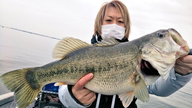 IMG_20200709_183751.jpg