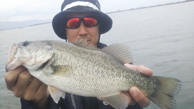 IMG_20210115_191101.jpg