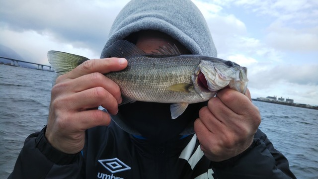 IMG_20210219_065217.jpg